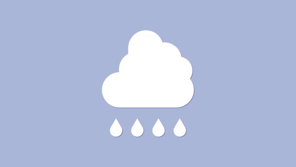 Mor arka planda izole edilmiş yağmur ikonu olan beyaz bulut. Yağmur damlaları ile yağmur bulutu yağışı. 4K Video hareketli grafik canlandırması — Stok video