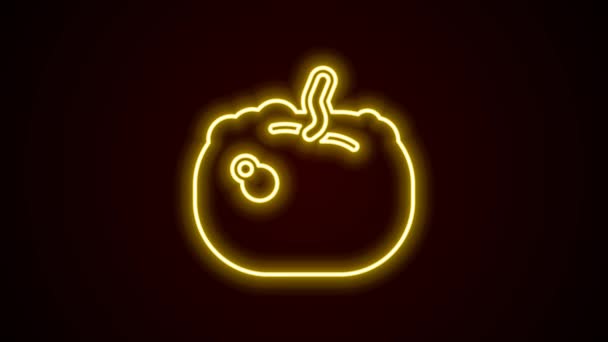 Ragyogó neon vonal Tök ikon elszigetelt fekete háttérrel. Boldog Halloween partit! 4K Videó mozgás grafikus animáció — Stock videók