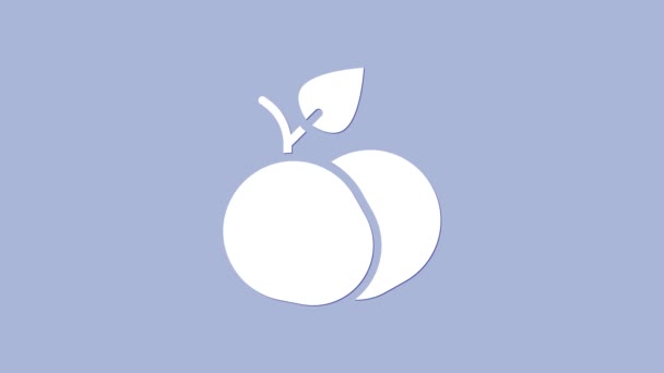 White Mango fruit icon isolated on purple background. 4K Video motion graphic animation — стоковое видео