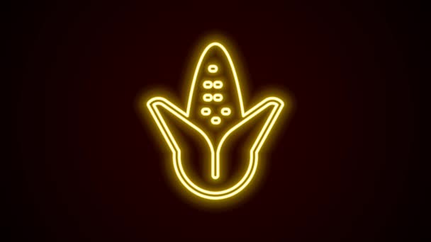 Parlayan neon hattı mısır ikonu siyah arkaplanda izole edildi. 4K Video hareketli grafik canlandırması — Stok video