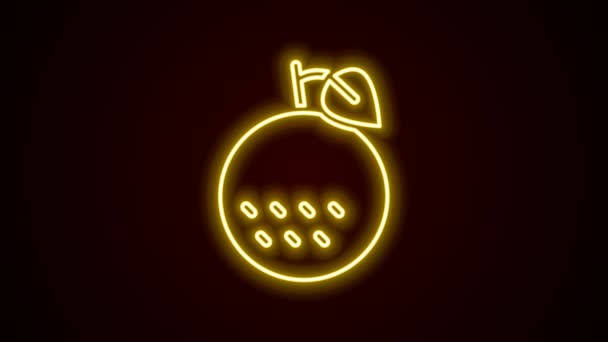 Zářící neonová čára Oranžová ikona ovoce izolovaná na černém pozadí. Grafická animace pohybu videa 4K — Stock video