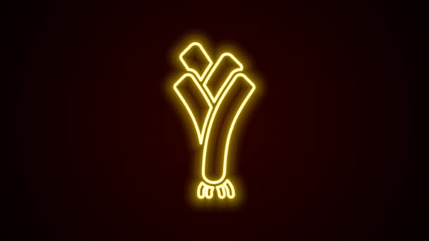 Glowing neon line Leek icon isolated on black background. 4K Video motion graphic animation — Αρχείο Βίντεο