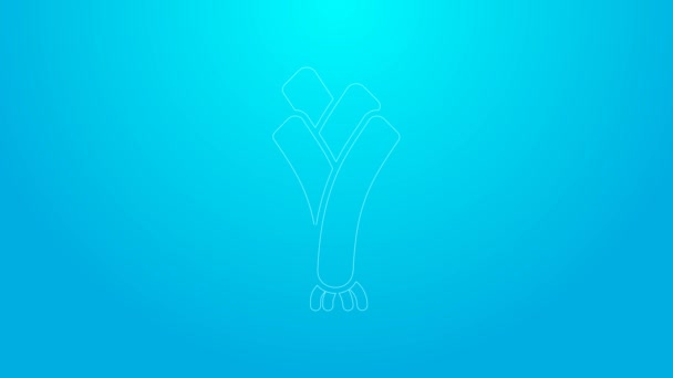 Pink line Leek icon isolated on blue background. 4K Video motion graphic animation — Stock Video