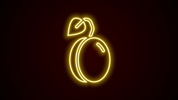 Светящаяся неоновая линия Значок плода сливы выделен на черном фоне. Видеографическая анимация 4K — стоковое видео