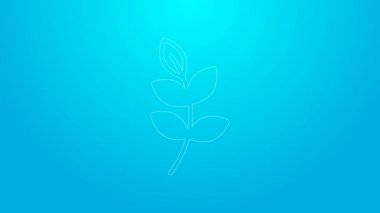 Pink line Willow leaf icon isolated on blue background. 4K Video motion graphic animation