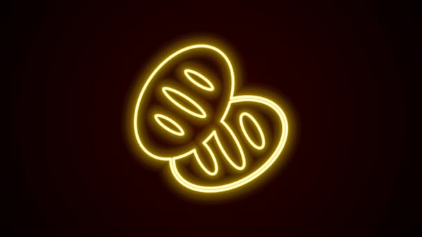 Glowing neon line Christian bread icon isolated on black background. Religion and Christianity. 4K Video motion graphic animation — Vídeos de Stock