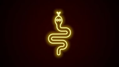Parlayan neon hattı Yılan simgesi siyah arkaplanda izole edildi. 4K Video hareketli grafik canlandırması