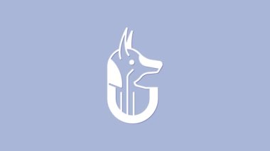 White Egyptian anubis icon isolated on purple background. 4K Video motion graphic animation