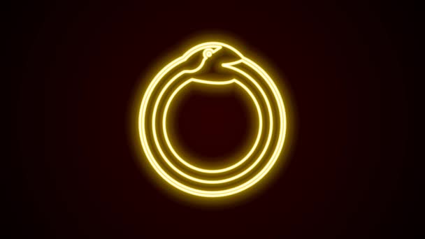 Светящийся неоновая линия Магический символ Ouroboros значок изолирован на черном фоне. Змея кусает свой собственный хвост. Животное и бесконечность, мифология и змея. Видеографическая анимация 4K — стоковое видео
