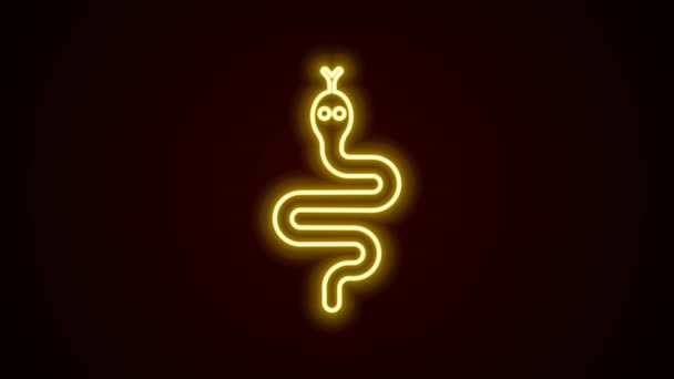Zářící neonová čára Ikona Snake izolovaná na černém pozadí. Grafická animace pohybu videa 4K — Stock video