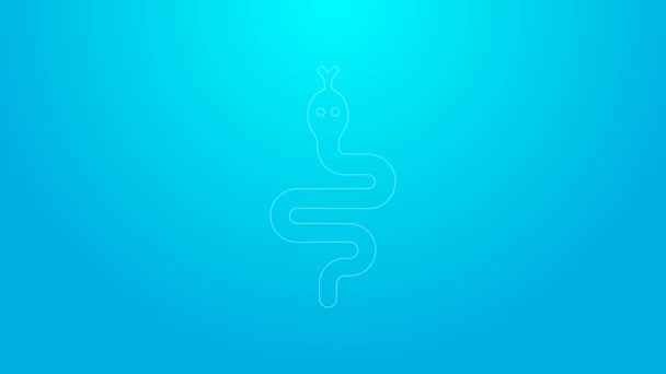 Rózsaszín vonal Kígyó ikon elszigetelt kék alapon. 4K Videó mozgás grafikus animáció — Stock videók