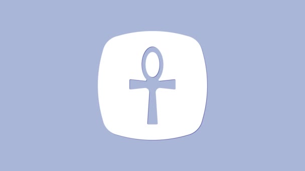 White Cross ankh icon isolated on purple background. Egyptian word for life or symbol of immortality. 4K Video motion graphic animation — Video