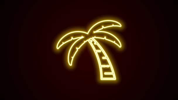 Glowing neon line Tropical palm tree icon isolated on black background. Coconut palm tree. 4K Video motion graphic animation — Stock Video