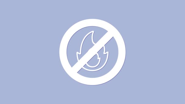 Blanco No hay icono de fuego aislado sobre fondo púrpura. Prohibición de fuego y prohibido. Animación gráfica de vídeo 4K — Vídeos de Stock