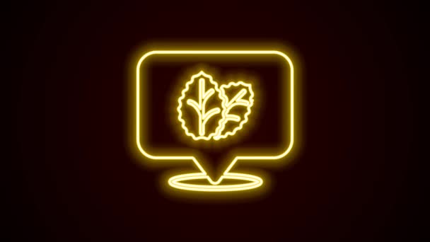 Leuchtende Neon-Linie Tabakblatt-Symbol isoliert auf schwarzem Hintergrund. Tabakblätter. 4K Video Motion Grafik Animation — Stockvideo