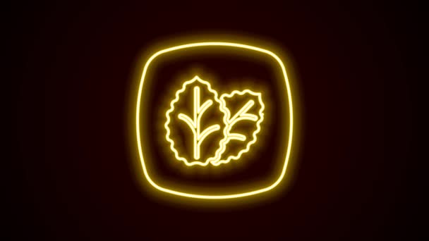 Glowing neon line Tobacco leaf icon isolated on black background. Tobacco leaves. 4K Video motion graphic animation — Stock Video