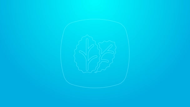 Pink line Tobacco leaf icon isolated on blue background. Tobacco leaves. 4K Video motion graphic animation — Stok video