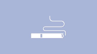 Beyaz sigara simgesi mor arkaplanda izole edilmiş. Tütün tabelası. Sigara içme sembolü. 4K Video hareketli grafik canlandırması