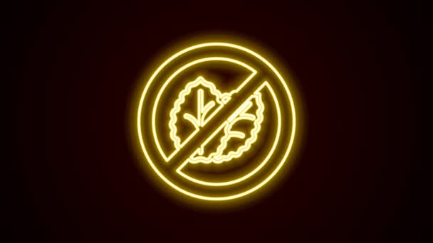 Leuchtende Neon-Linie Kein Tabakblatt-Symbol isoliert auf schwarzem Hintergrund. Tabakblätter. 4K Video Motion Grafik Animation — Stockvideo