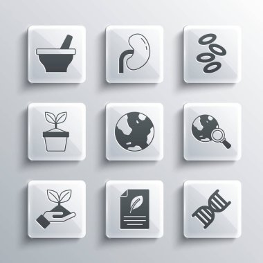 Yaprak, DNA sembolü, büyüteç küresi, toprak, bitki eli, saksı, havan topu ve hemoglobin ikonu ile eko kağıdı koyun. Vektör