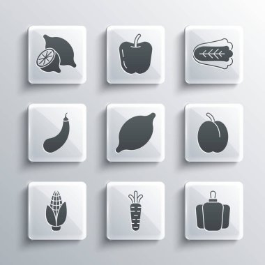 Havuç, dolmalık biber, erik meyvesi, limon, mısır, patlıcan ve lahana ikonu. Vektör