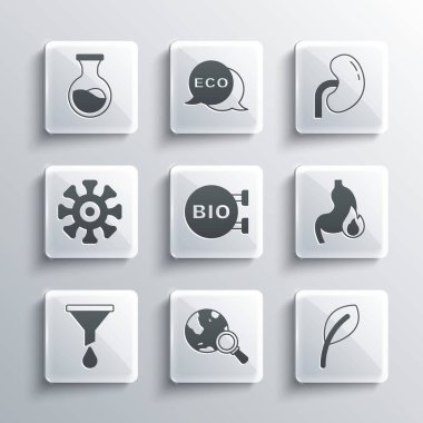 Yerküre, yaprak ya da yapraklı büyüteç, mide ekşimesi, biyosağlıklı besin, huni filtresi, bakteri, test tüpü, matara ve insan böbreği ikonu. Vektör