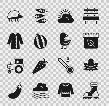 Su geçirmez lastik bot, yaprak ya da yaprak, sonbahar, güneş ve bulutlu hava takvimi, karpuz, yağmurluk, kirpi ve küçük civciv ikonu. Vektör