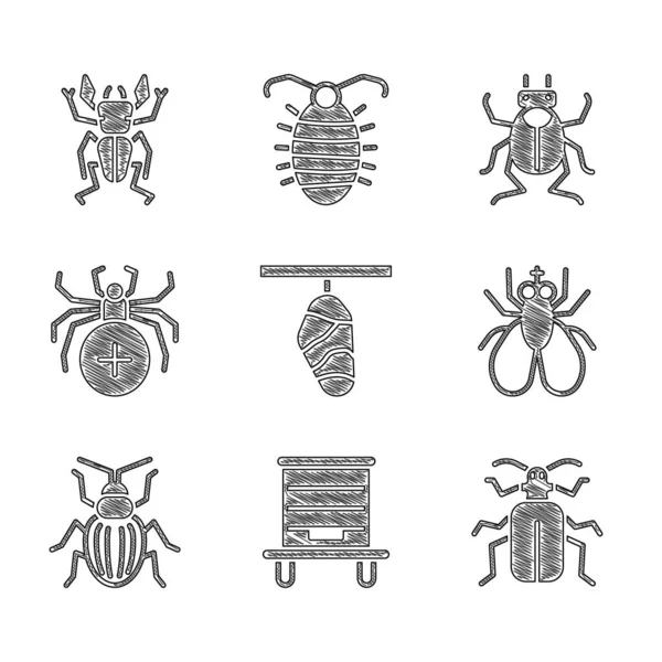 Set Schmetterlingskokon Bienenstock Für Bienen Käfer Insekten Spinnen Käfer Und — Stockvektor