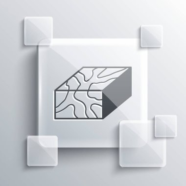 Gri tahta kiriş ikonu gri arkaplanda izole edildi. Kereste kalası. Kare cam paneller. Vektör