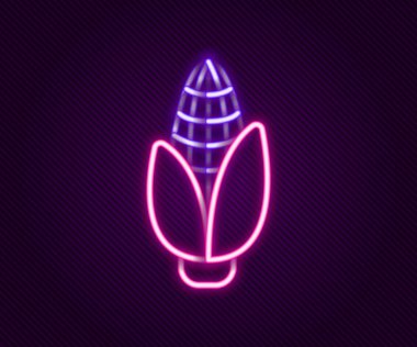 Parlayan neon hattı mısır ikonu siyah arkaplanda izole edildi. Renkli taslak konsepti. Vektör