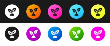 Bitki tabanlı simgeyi siyah ve beyaz arkaplanda izole et. Vektör