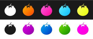 Domates simgesini siyah ve beyaz arkaplanda izole et. Vektör