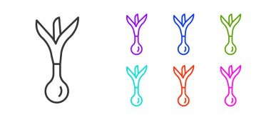 Siyah çizgi Onion simgesi beyaz arkaplanda izole edildi. Simgeleri renklendirin. Vektör