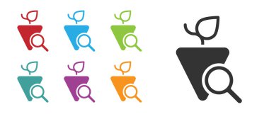 Beyaz arkaplanda siyah üzüm simgesi izole edildi. Üzüm seçimi. Simgeleri renklendirin. Vektör