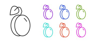 Beyaz arkaplanda siyah çizgi erik meyvesi ikonu izole edildi. Simgeleri renklendirin. Vektör