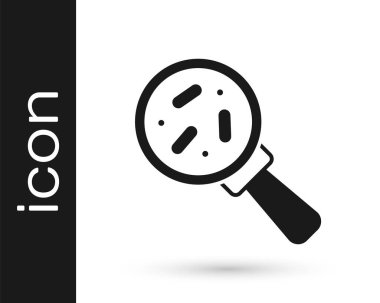 Beyaz zemin üzerinde izole edilmiş büyüteç simgesi altındaki siyah mikroorganizmalar. Bakteri ve mikroplar, hücre kanseri, mikrop, virüs, mantar. Vektör