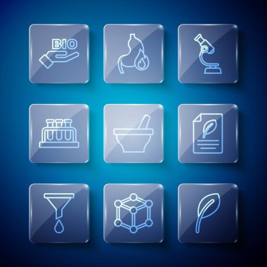 Hat hunisi veya filtre, molekül, yaprak yaprakları, mikroskop, havan topu ve tokmak, test tüpü şişesi, biyosağlıklı besin ve yaprak ikonlu eko kağıt. Vektör