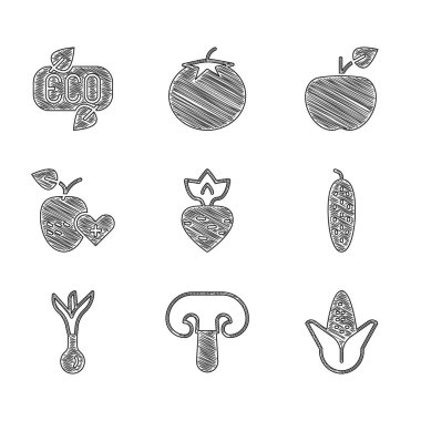 Şalgam, mantar, mısır, salatalık, soğan, sağlıklı meyve, elma ve yaprak ikonu. Vektör