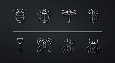 Larva böceği, sinek sineği, örümcek, karınca, kelebek, Mite, böcek ve yusufçuk ikonu. Vektör