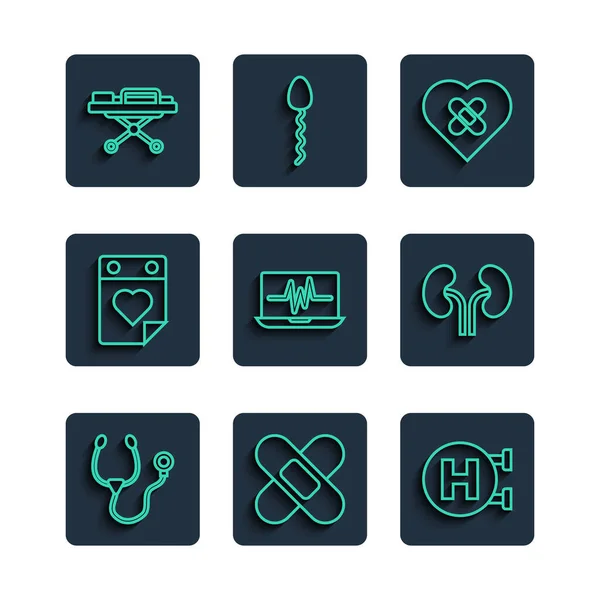 Set line Stethoscope, Crossed bandage plaster, Hospital signboard, Healed broken heart, Laptop with cardiogram, Doctor appointment, Stretcher and Human kidneys icon. Vector — Stock vektor