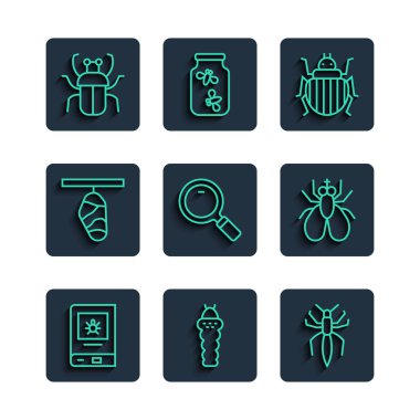 Böcek, Larva, Örümcek, Kolorado böceği, büyüteç, Kelebek, Kokuşmuş Böcek ve Böcek ikonu hakkında bir çizgi çiz. Vektör