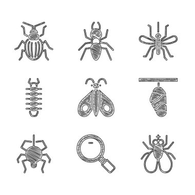 Kelebek, büyüteç, böcek, koza, örümcek, kırkayak, sivrisinek ve yaban böceği ikonu. Vektör