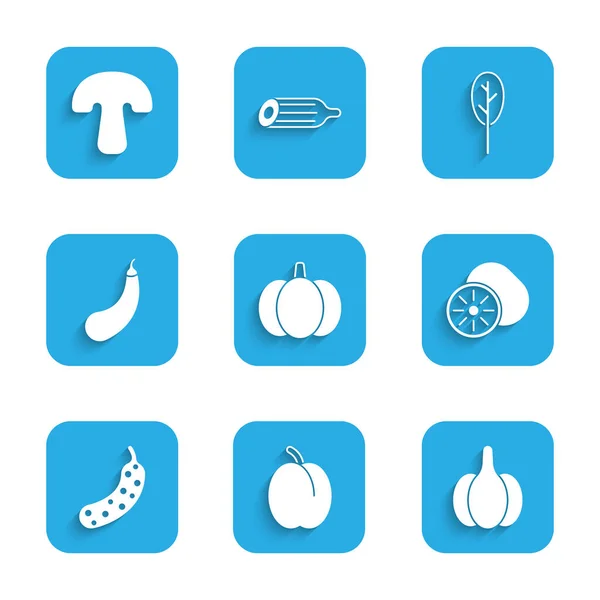 Set Pumpkin, Plum fruit, Garlic, Kiwi, Fresh cucumber, Eggplant, Spinach and Mushroom icon. Vector — Stock Vector