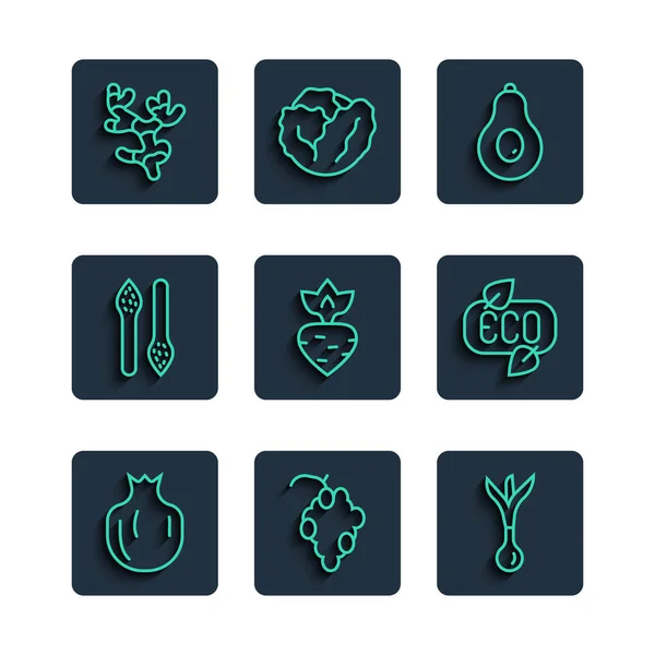 Set line Pomegranate, Grape fruit, Onion, Avocado, Turnip, Asparagus, Ginger root and Leaf Eco symbol icon. Vector — ストックベクタ