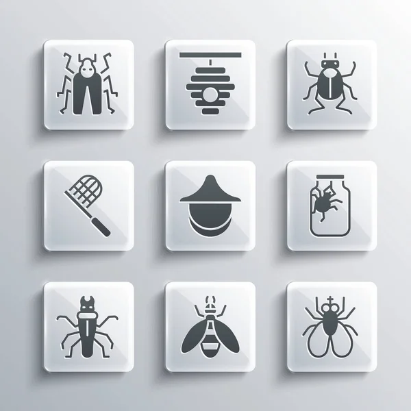 Set Bee, Insect fly, Spider in jar, Beekeeper hat, Termite, Butterfly net, Beetle bug and icon. Vector — стоковый вектор