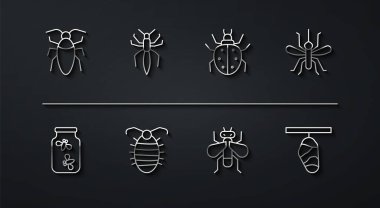 Hamamböceği, Ateşböcekleri kavanozda, Sivrisinek, Böcek, Böcek, Larva böceği, Örümcek, Kelebek kozası ve Mite ikonu. Vektör