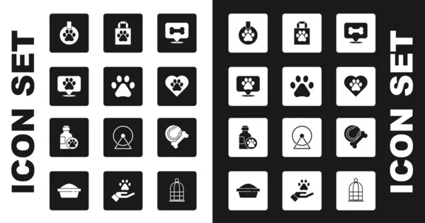 Set Dog Bone Paw Print Location Veterinary Collar Name Tag — Διανυσματικό Αρχείο
