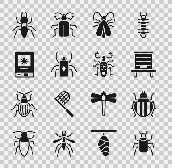 Set Beetle Bug Colorado Beetle Hive Bees Clothes Moth Book — Image vectorielle