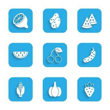 Set Cherry, Garlic, Strawberry, Fresh cucumber, Corn, Watermelon,  and Lemon icon. Vector
