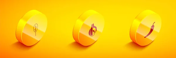 Set Isometric Spinach Onion Hot Chili Pepper Pod Icon Vector — ストックベクタ